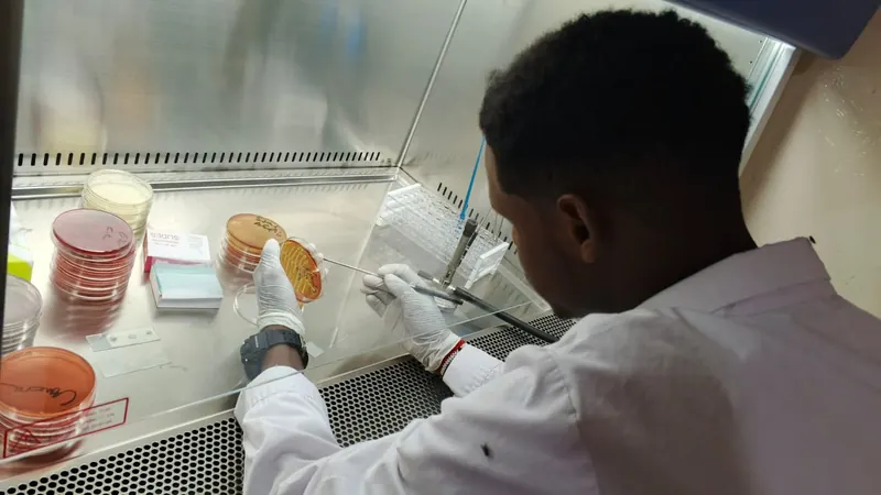 Master of Medical Microbiology